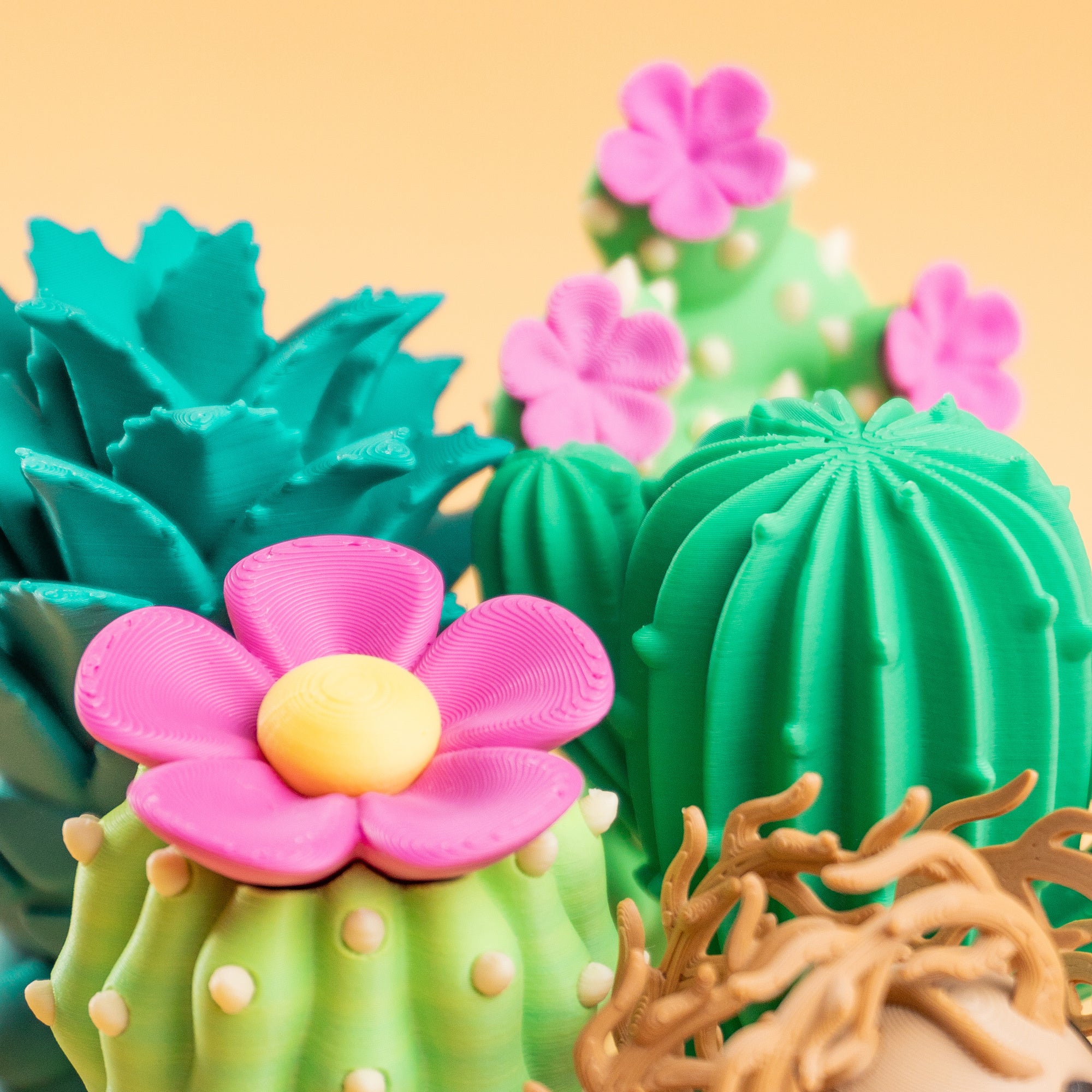 Blob Verse Desert Plants – Articulated Cactus & Succulent Set | Wigglix