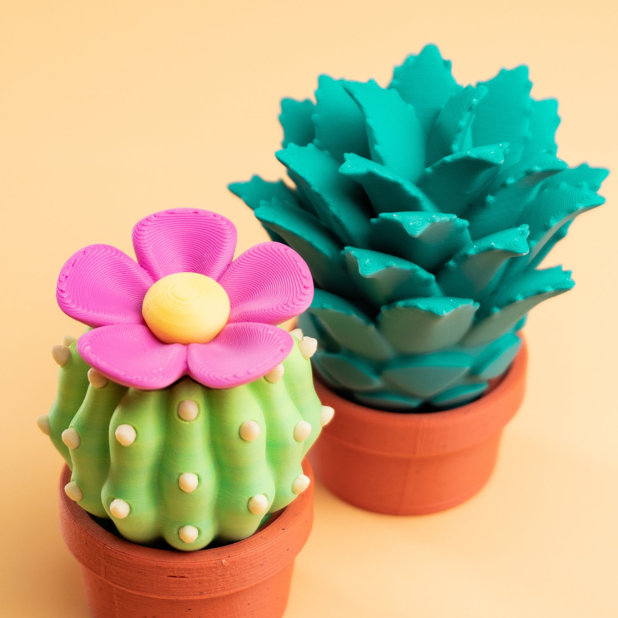 Blob Verse Desert Plants – Articulated Cactus & Succulent Set | Wigglix