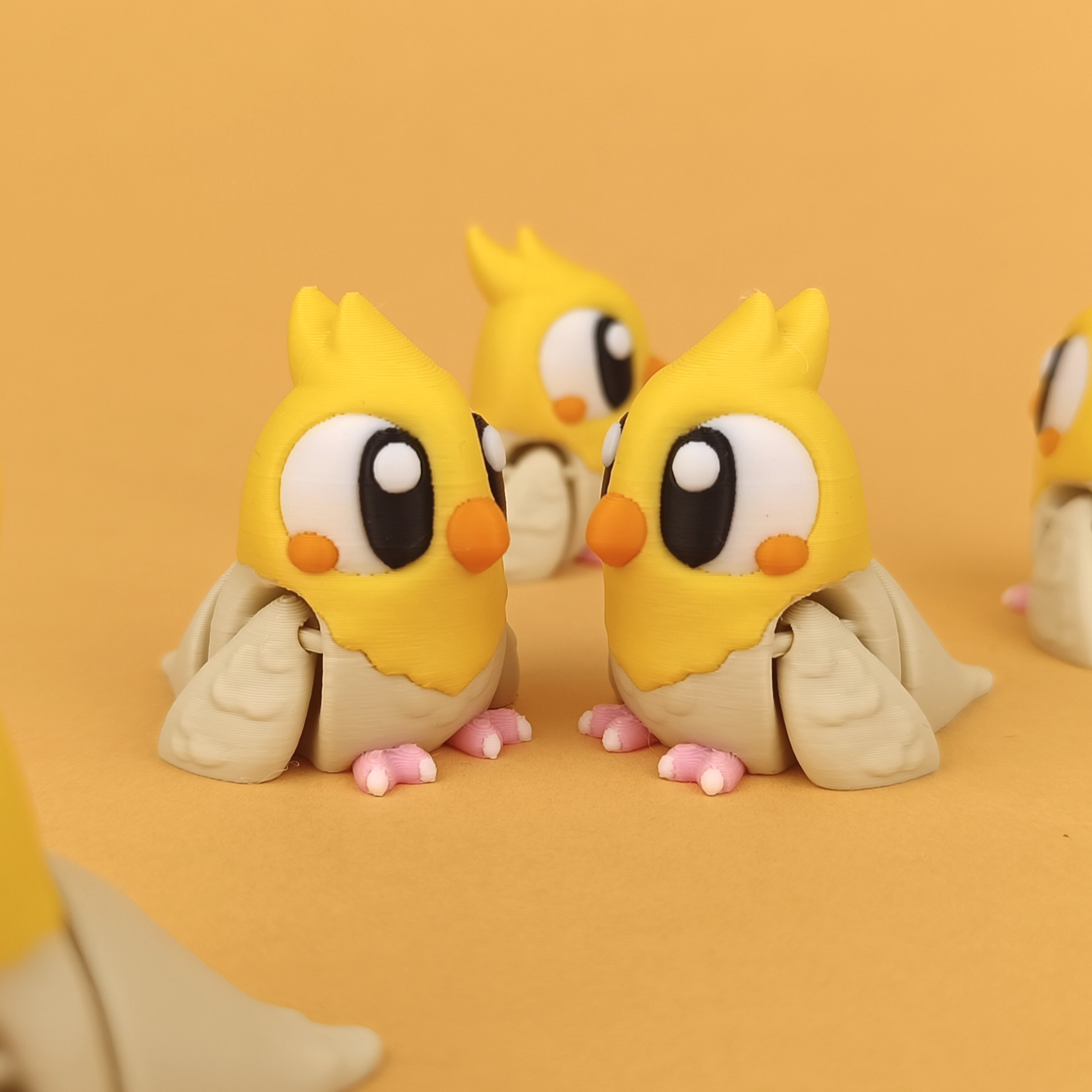 Pet Birds – Colourful & Flexible Companions (Set of 5)