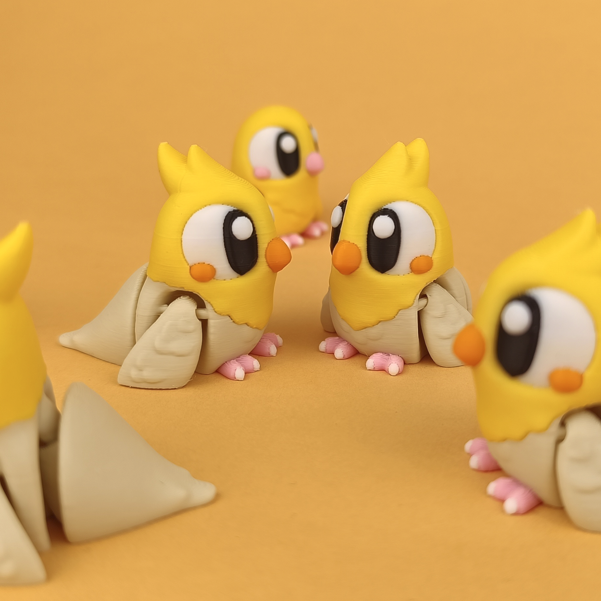 Pet Birds – Colourful & Flexible Companions (Set of 5)