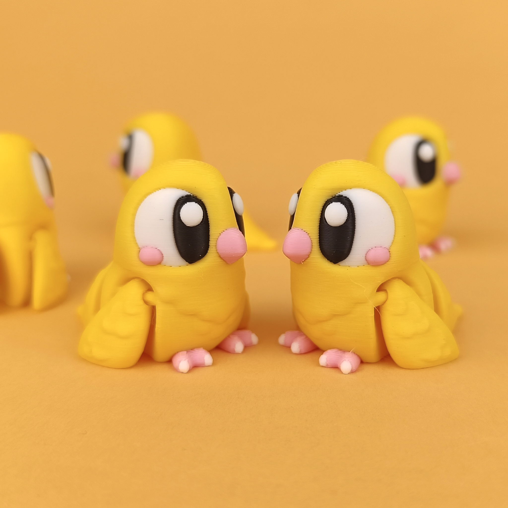 Pet Birds – Colourful & Flexible Companions (Set of 5)