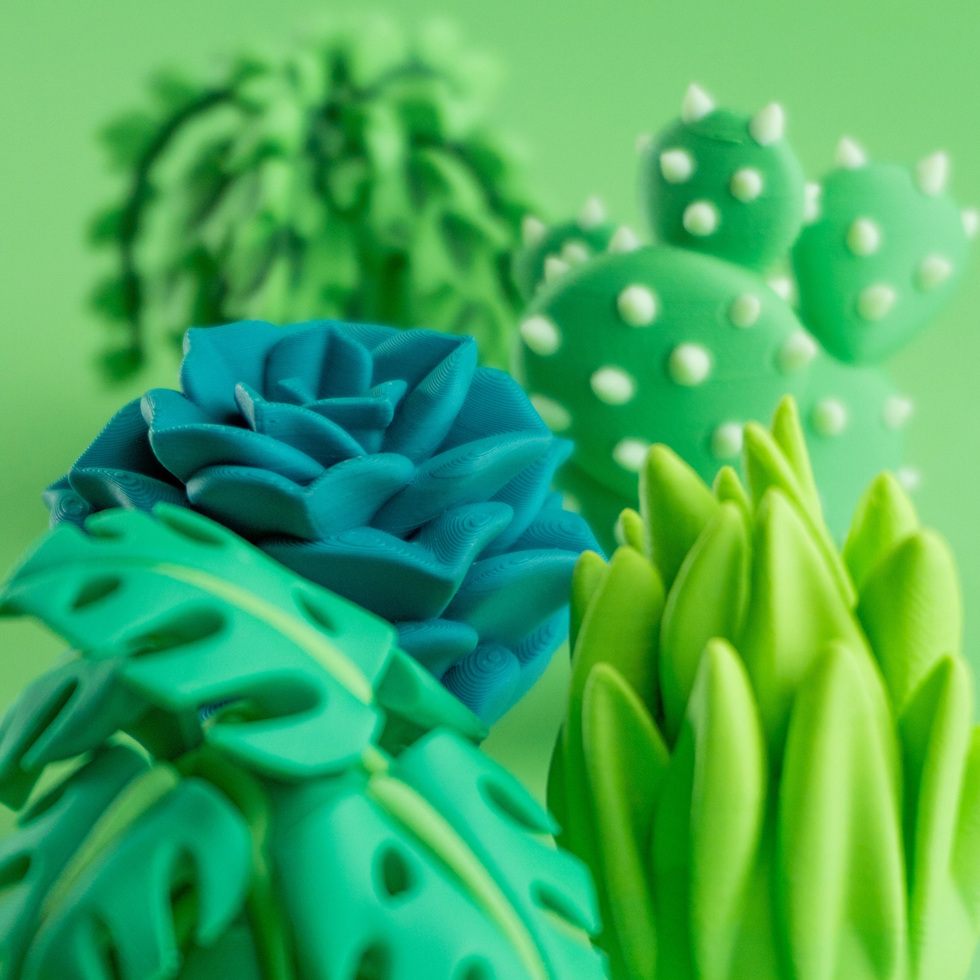 BlobPlant Pals – Pack of 5