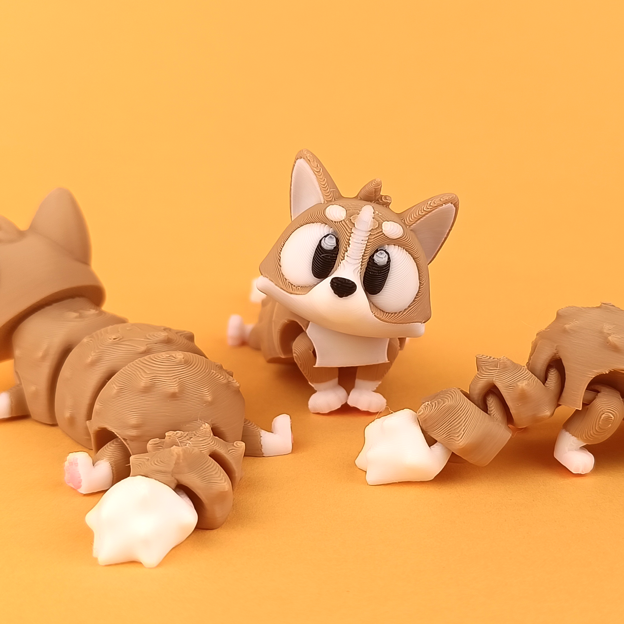Flexi Corgi Articulated Collectible Big Eyes Standing Pose – Wigglix