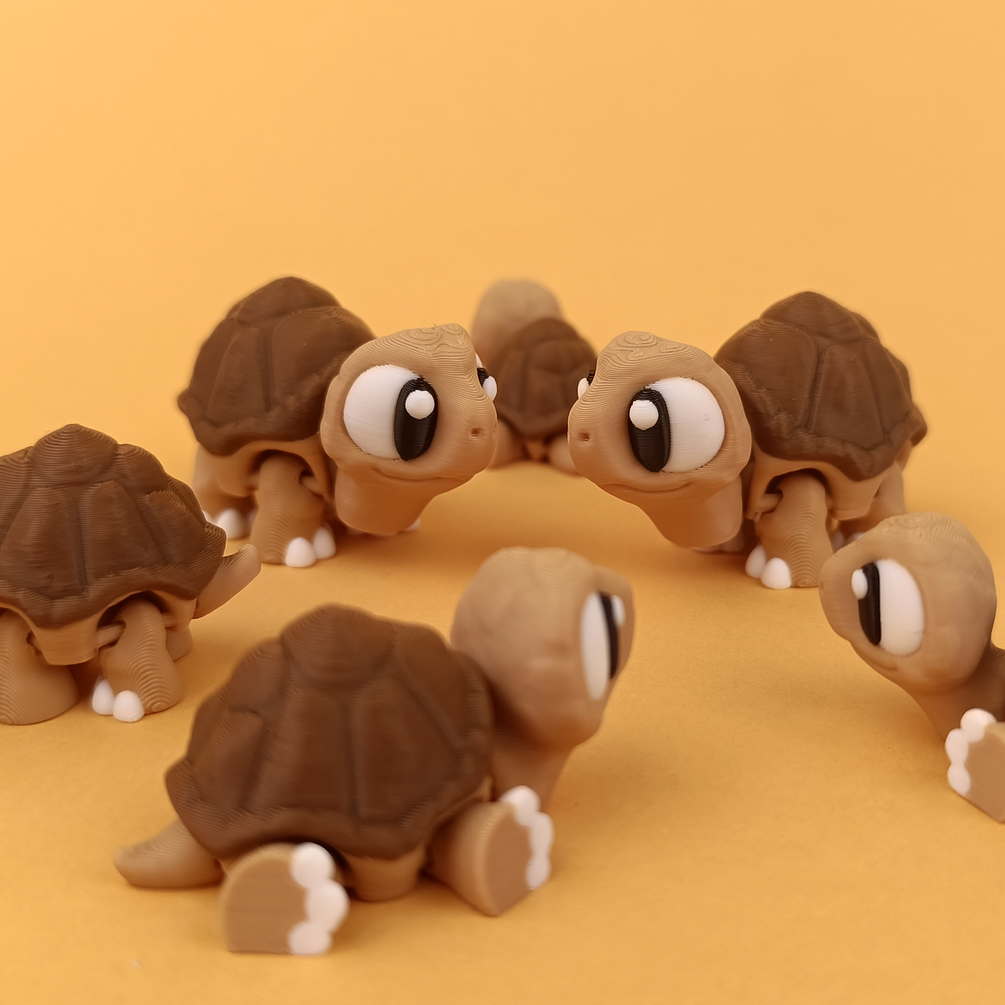 Mini Tortoise Articulated Collectible Face to Face – Wigglix